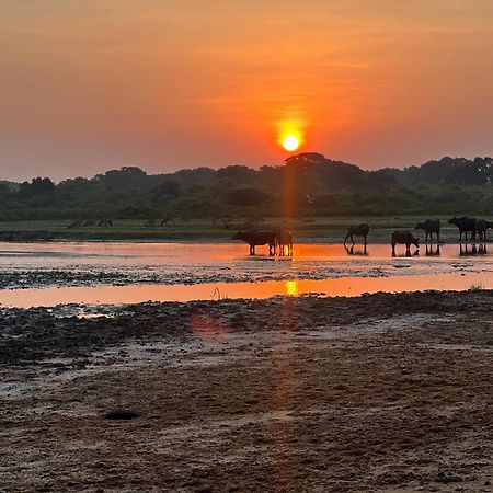 Kingfisher Beach Resort-Yala Kirinda  Eksteriør billede